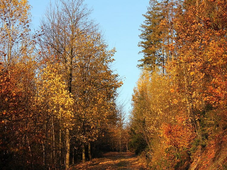 Podzimní romance