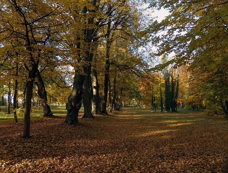 Josefovský podzim