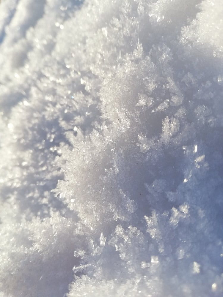 Krystalky sněhu