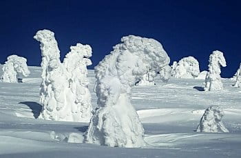 sněhové sochy