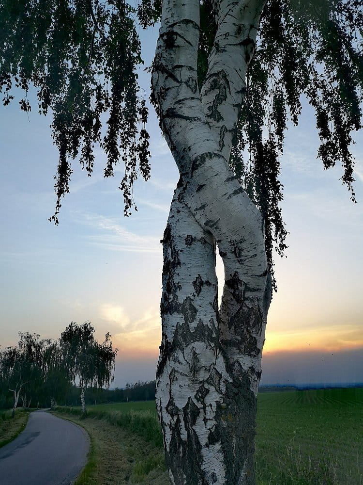 Opravdová láska