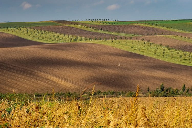 Stromořadí ii