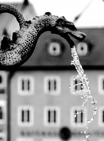 Vodní drak