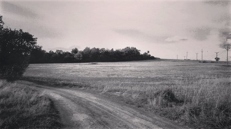 Un camino en blanco y negro