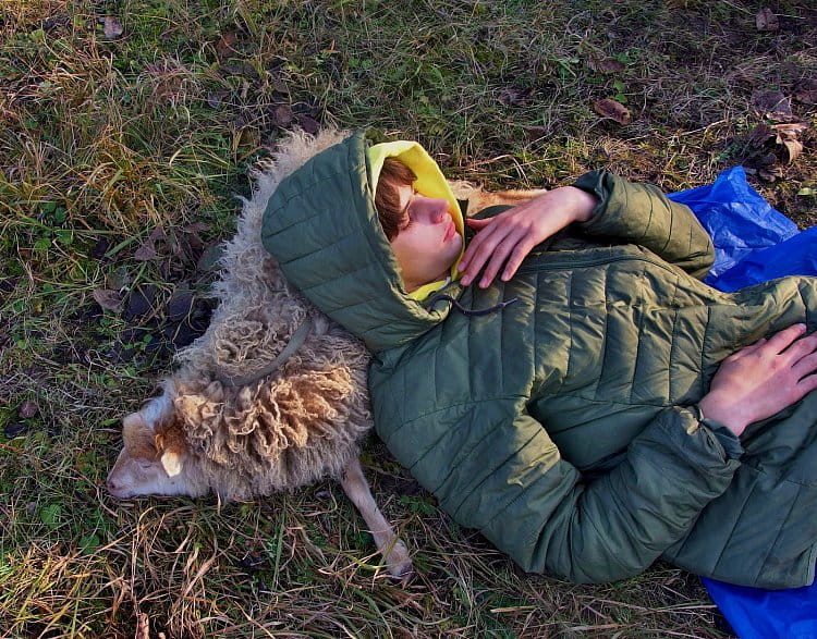 odpočíváme...a večer bude chodit Mikuláš