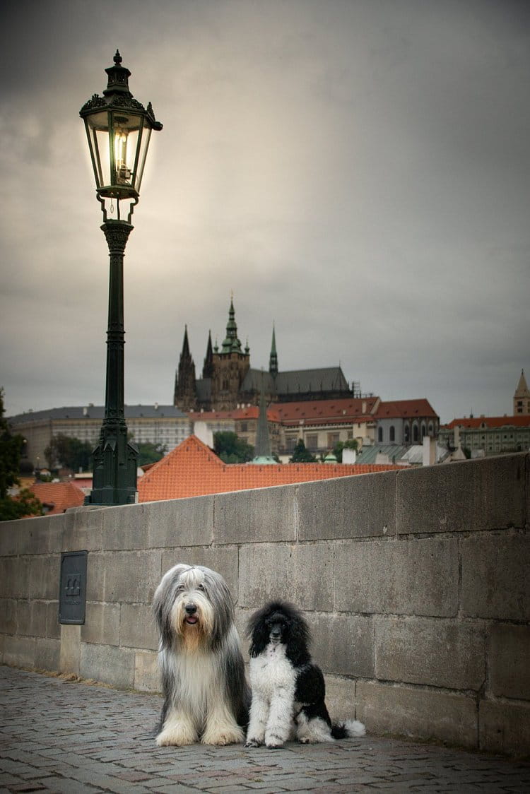 Tajemná Praha