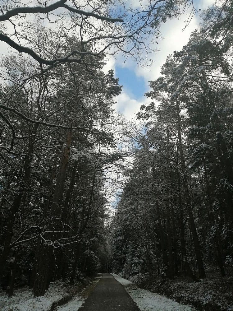 Cesta na Hlincovu Horu