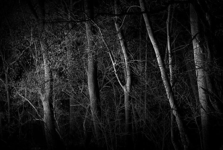 strašidelný les