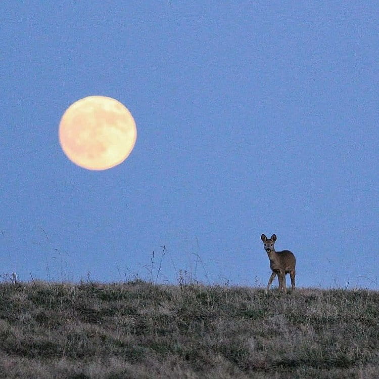 Jako z pohádky