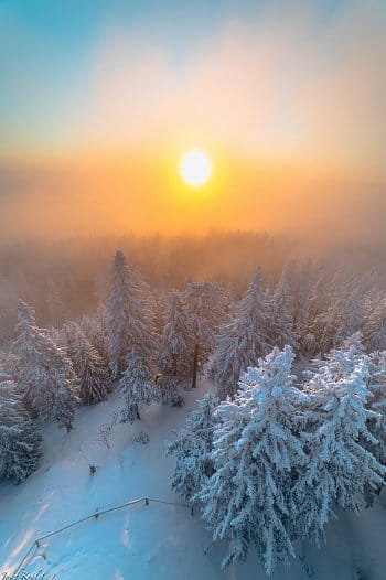 Šumava