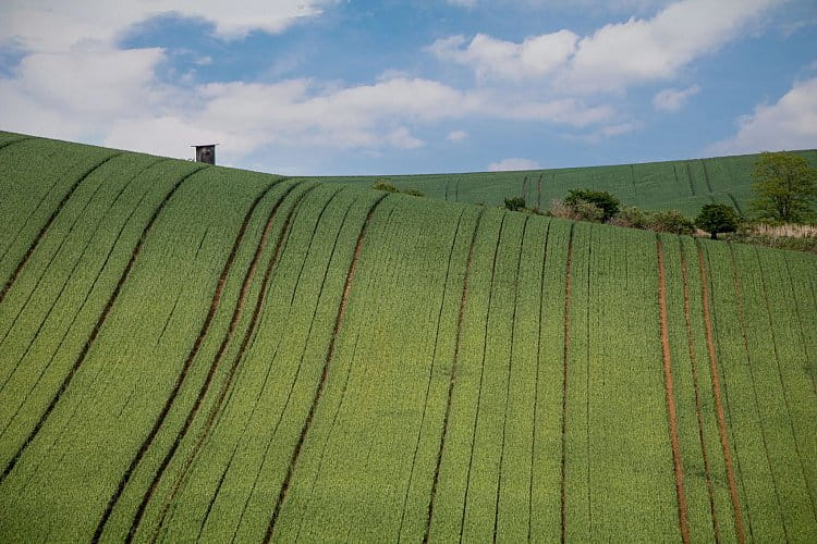 Moravská krajina