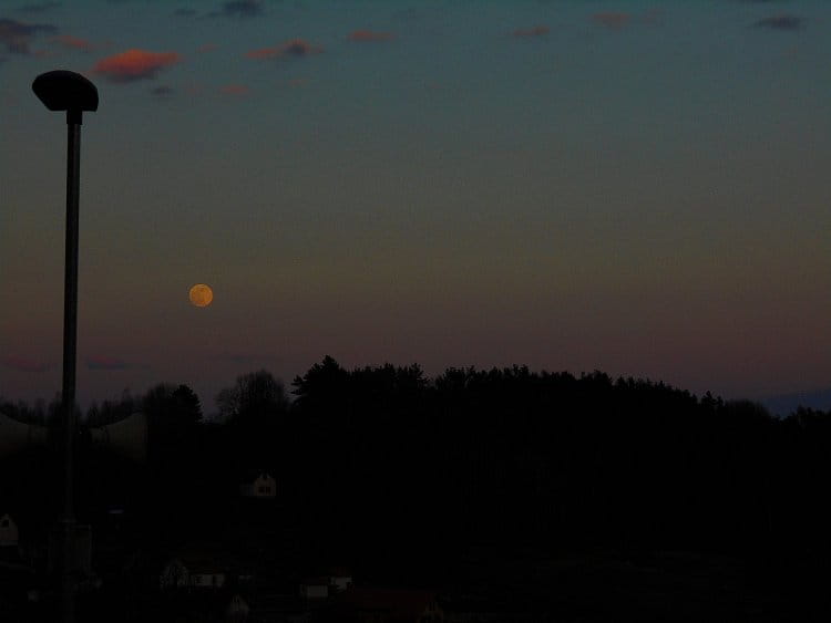 Východ měsíce nad lesy