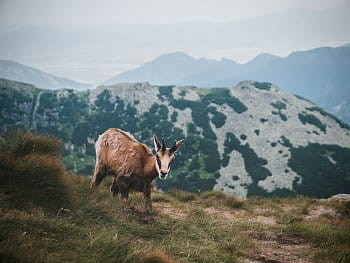 Tatry a jejich obyvatel