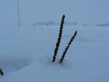 Copak nám to vykukuje?