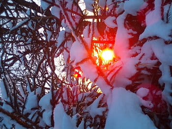 zimní rudé slunce