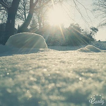 Krása sněhu v záři slunce