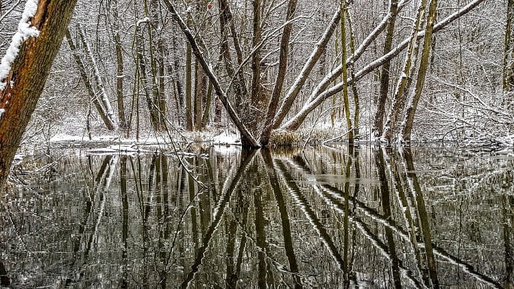 Park Cibulka