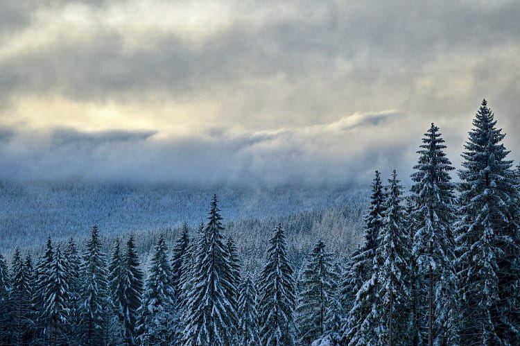 Šumava