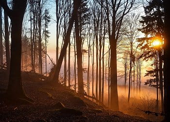 Západ slunce v lese na Křemešníku