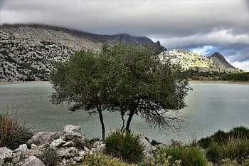 Cúber Mallorca