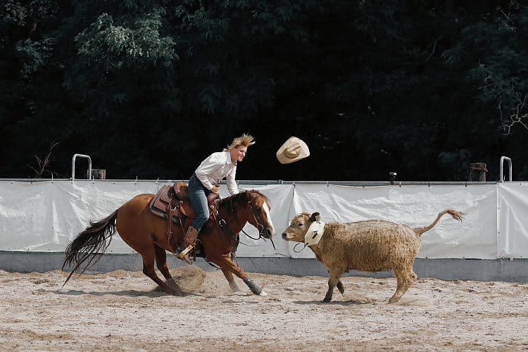 Rodeo