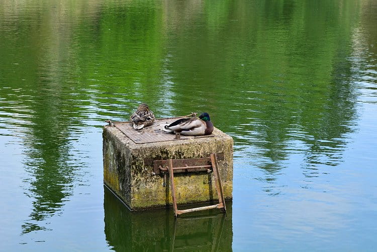 Relaxace na vodě 2