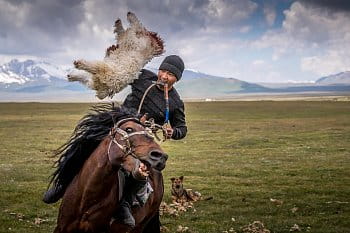 Buzkashi