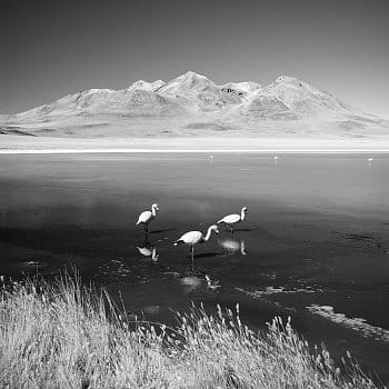 Laguna Canapa