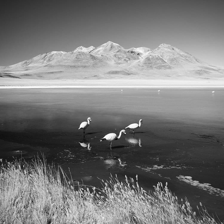 Laguna Canapa