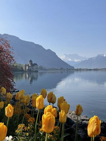 Ranní klid u Ženevského jezera