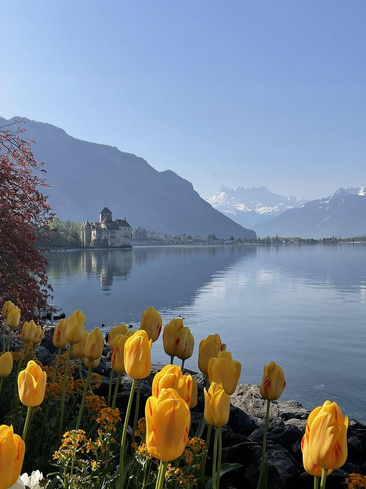 Ranní klid u Ženevského jezera