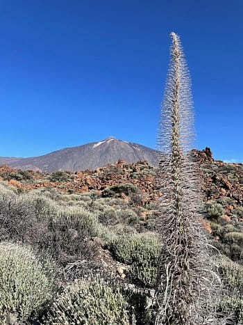 Pico del Teide