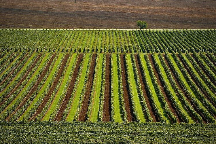 Moravská geometrie