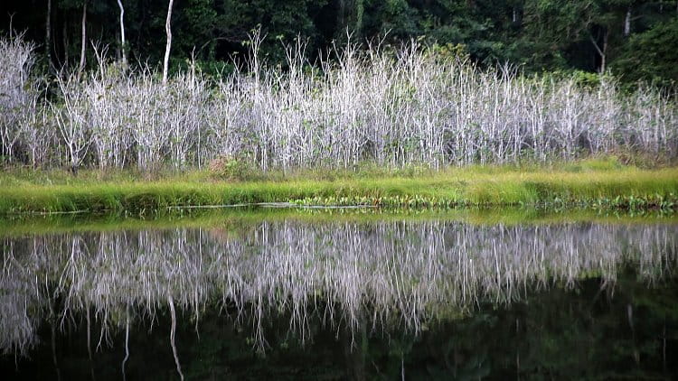 Jezero Sandoval