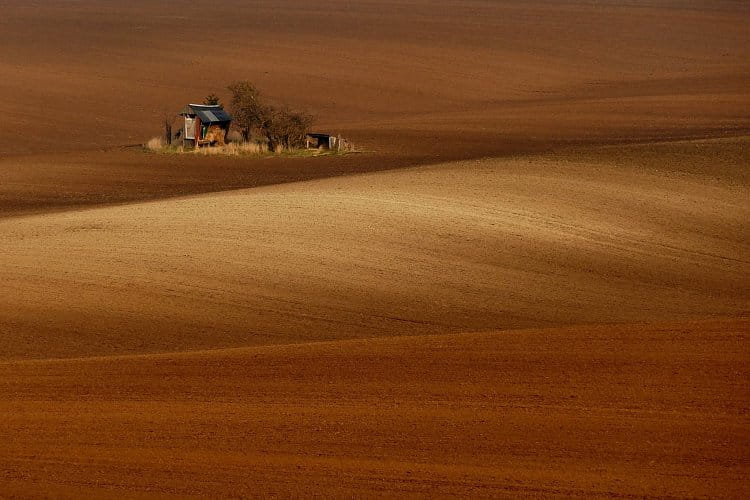 Ostrůvek v "moři"