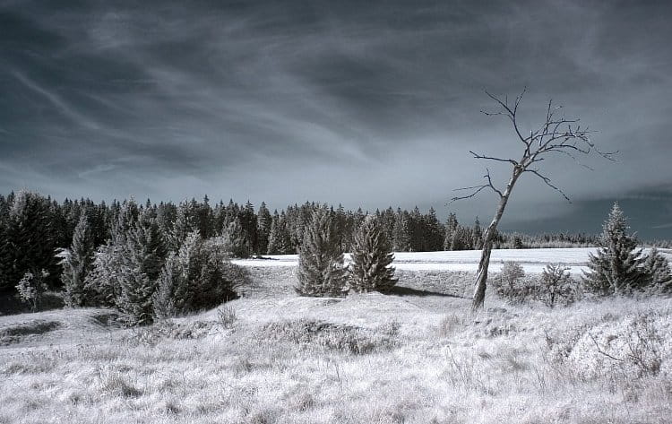 Šumava