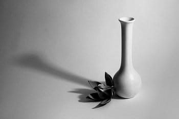 Zátiší s vázou