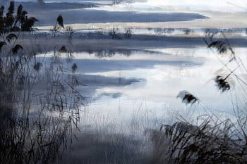 Záhlinické Okavango