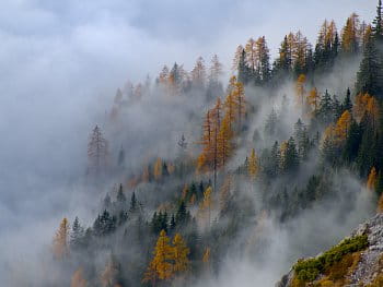 podzimní mlha