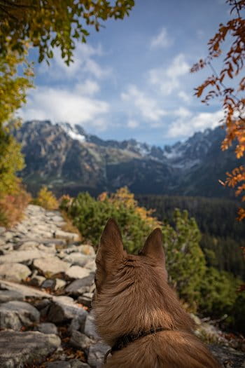 Vysoke Tatry