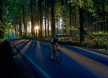 Cyklista