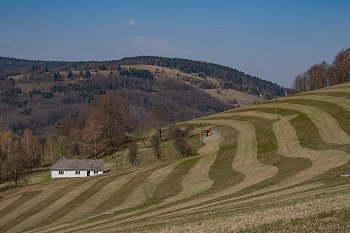 Učesaná krajina