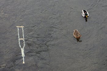 Nepotřebná?