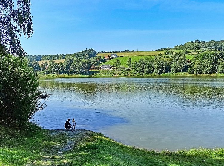 Žabky