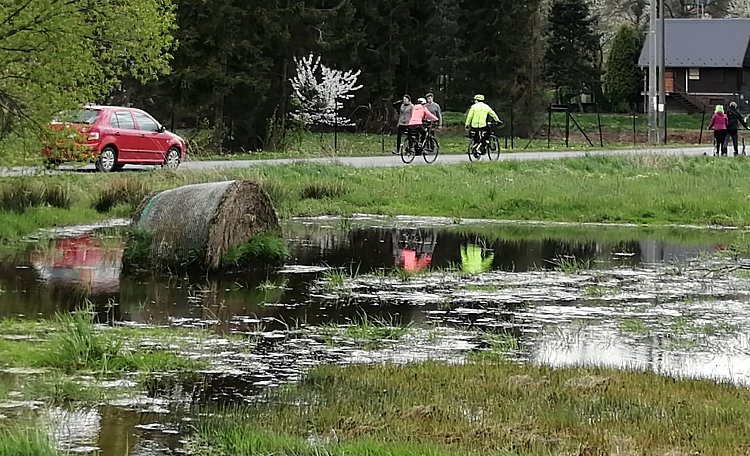 Mokřady na jaře