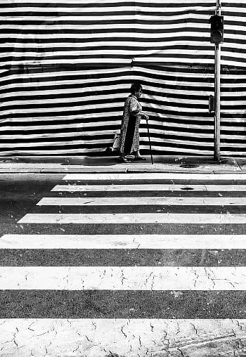 Zebra Crossing