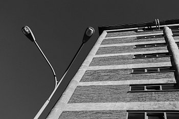 Linie