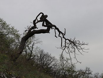 Zlomené srdce