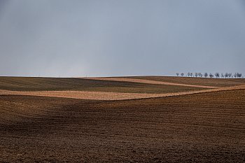 Podzimní minimalismus