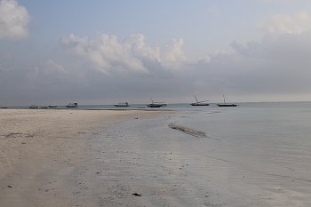 Ráno
